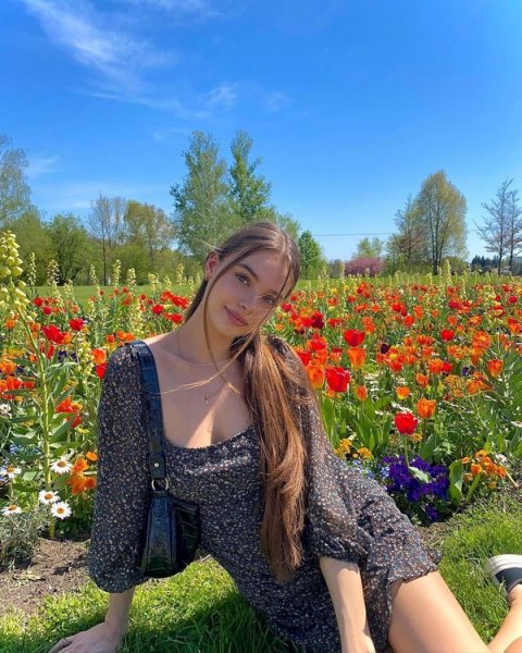 file_103353048
