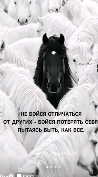 file_102680357