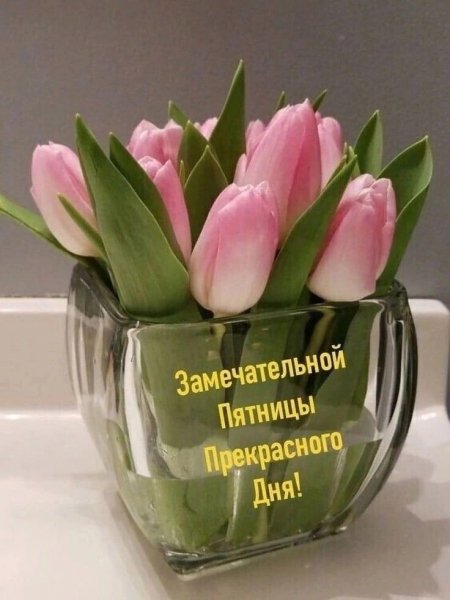 file_93609788