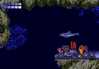 Ecco the Dolphin MP320.RU