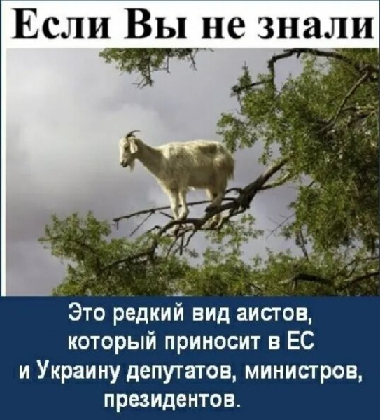 IMG 20260702 135225