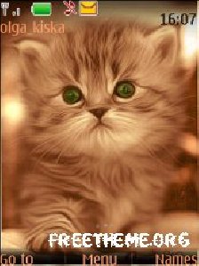 kitten by kiska