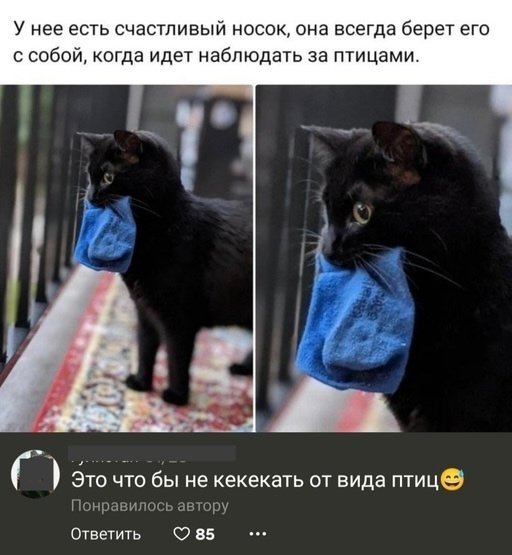 file_103304182