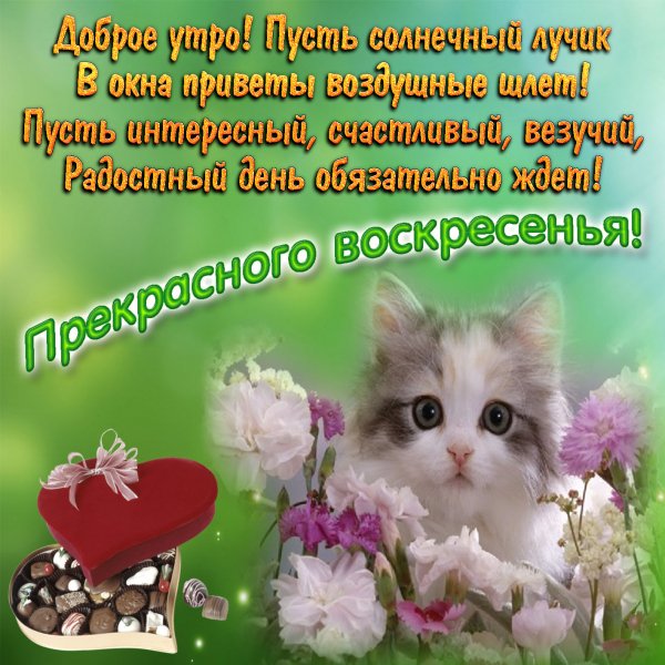 image:13843