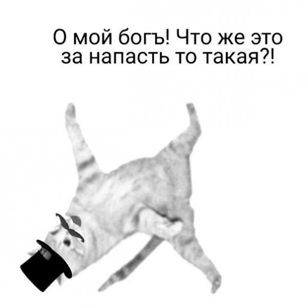 IMG 20260522 022415 861