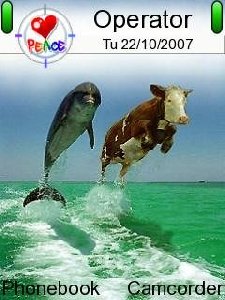Funny Race