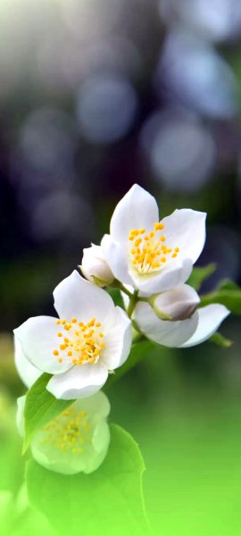 file_90276596