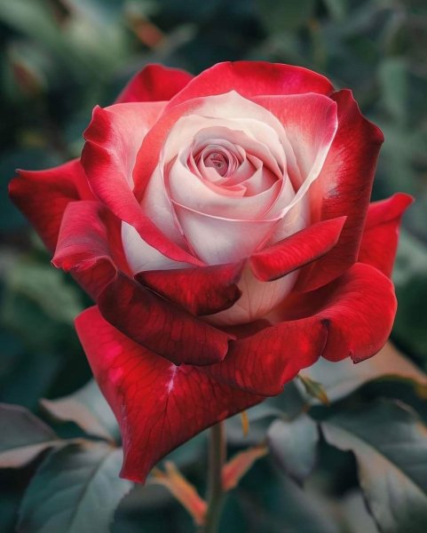 IMG 20240930 195226