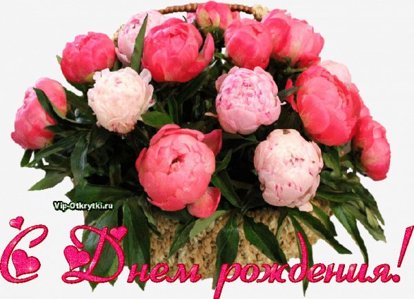 file_77004389