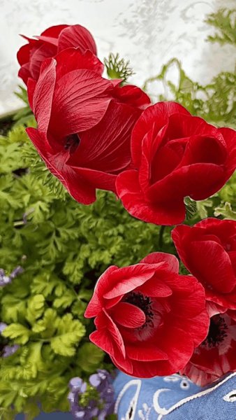 file_95982364