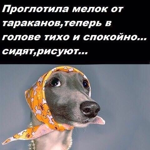 cVWRdnKL4iU