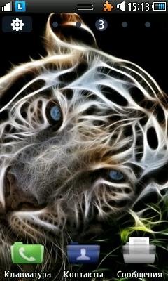 whitetiger