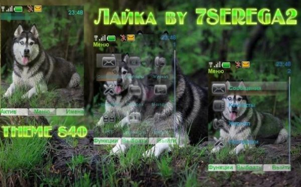 Лайка