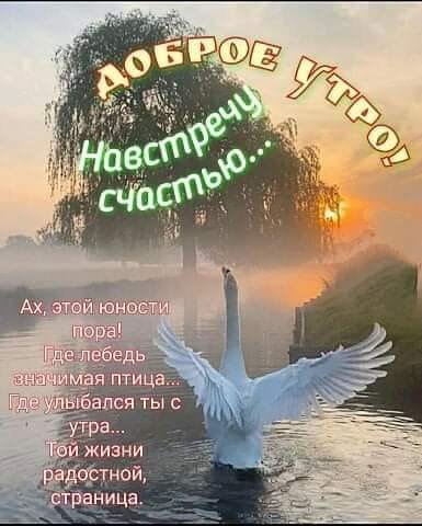 Доброе утро