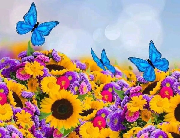 file_95694982
