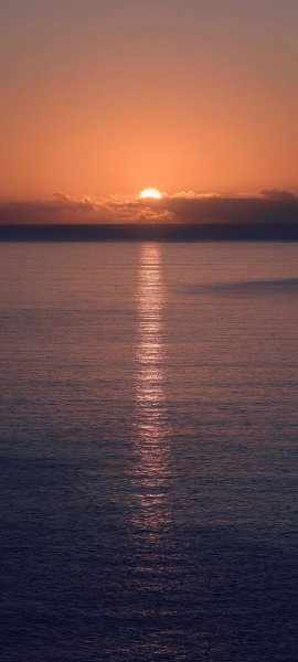 file_96419631