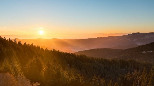 LIFEstyle News MiXture Images 1264 073