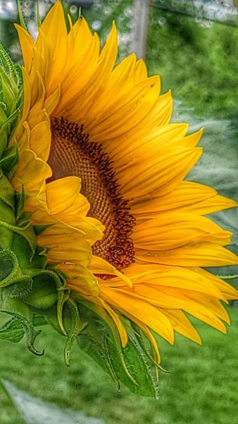 file_89894473