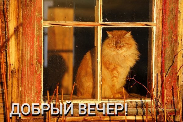 file_90192804