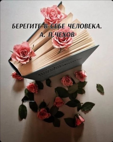 IMG 20250604 133648 540