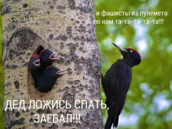 file_103378535