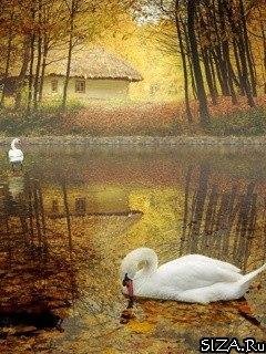 Природа