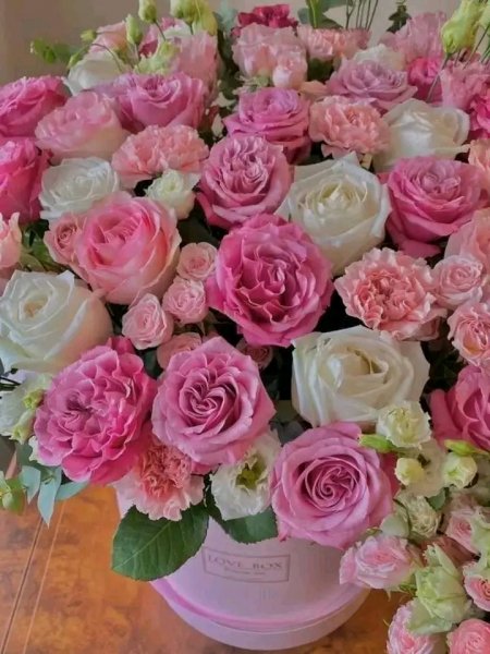 file_95827261