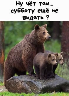 file_88078348