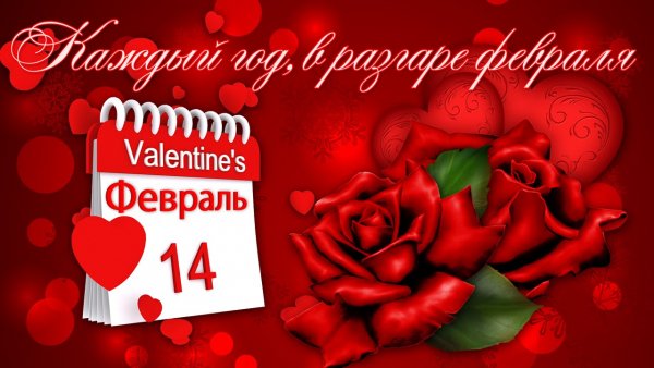 file_81167953