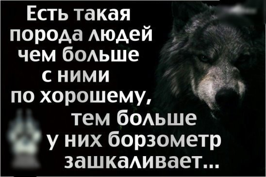 Такая порода