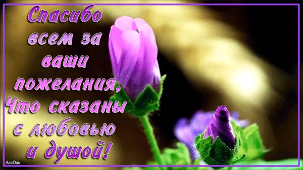 Спасибо вам за пожеланье
