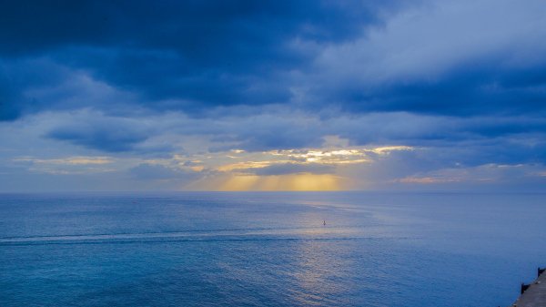 file_99295158