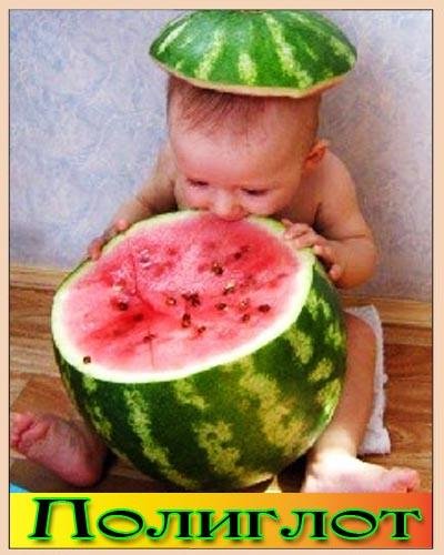 ПОЛИГЛОТ