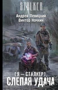 Слепая удача