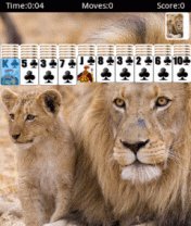 9 в 1 Solitaire HD Samsung 240x320 Сенсор
