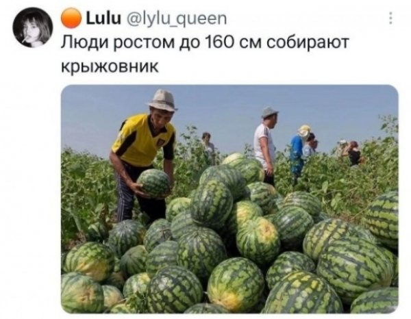 file_103322390