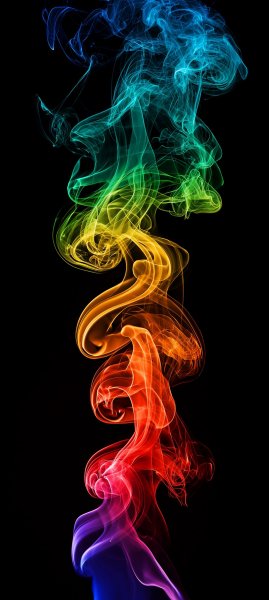 adapted 1080x2408 1787577306