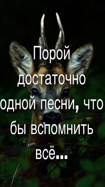 Одна песня