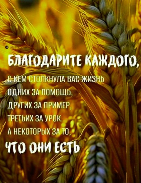 file_98067340