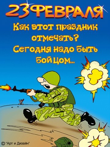 cards221