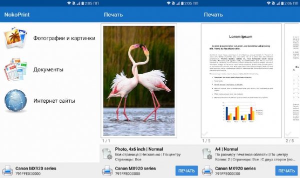 NokoPrint Pro v5.1.2