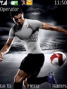 theme 43780