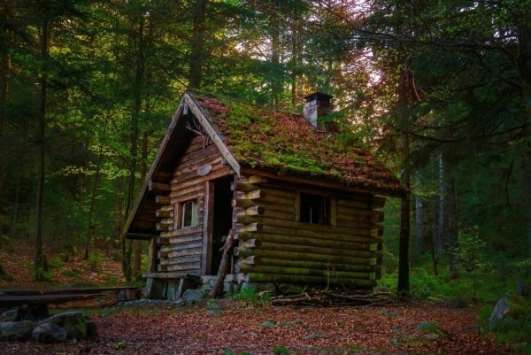 file_94237908