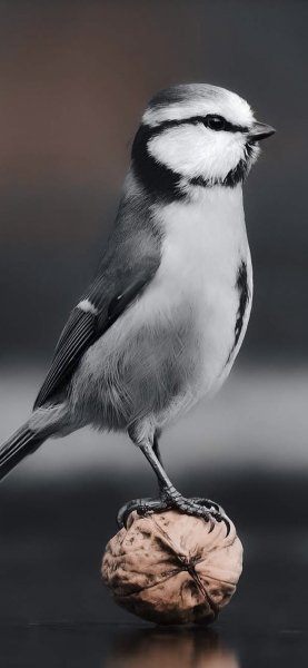 file_91935835