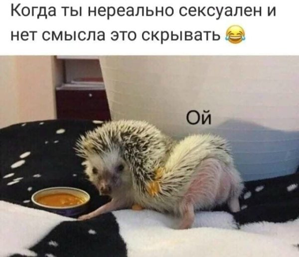 file_102638738