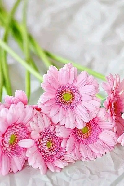 file_96209060