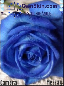 theme19033 1