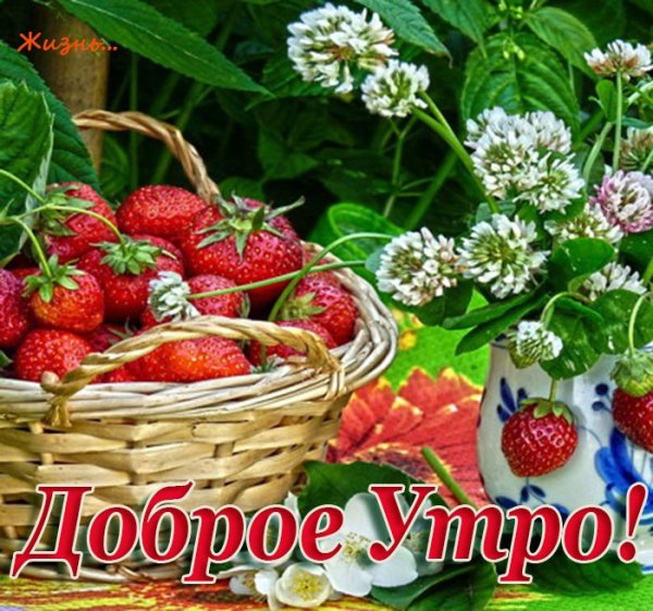 iidQ2hMPOMI