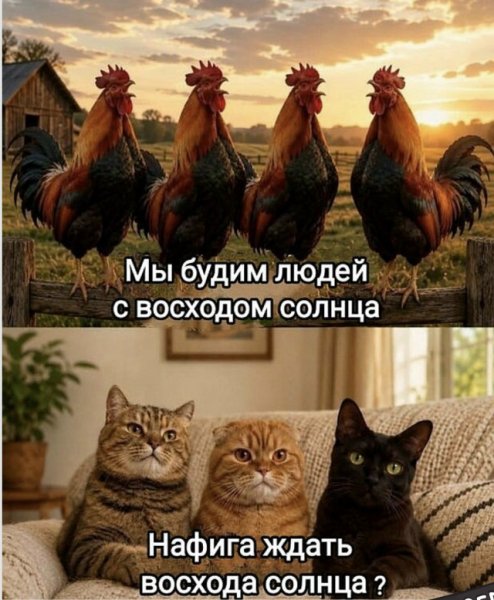 file_102928314