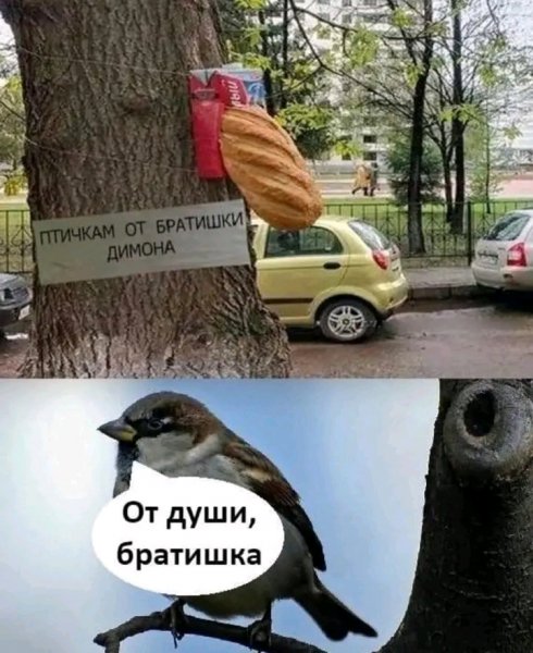 file_103465420